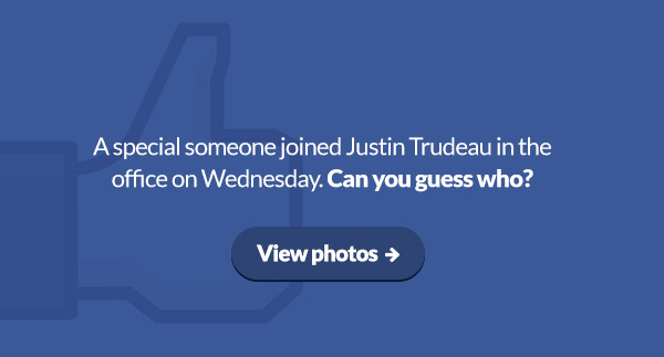 A special someone joined Justin Trudeau in the office on Wednesday. Can you guess who? View Photos: 