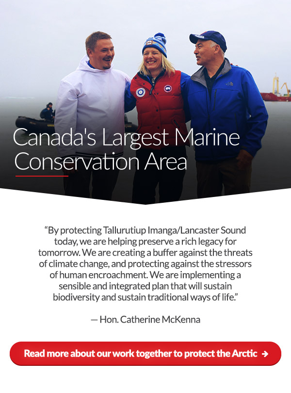Canada's Largest Marine Conservation Area

'By protecting Tallurutiup Imanga/Lancaster Sound today, we are helping preserve a rich legacy for tomorrow. We are creating a buffer against the threats of climate change, and protecting against the stressors of human encroachment. We are implementing a sensible and integrated plan that will sustain biodiversity and sustain traditional ways of life.' - Catherine McKenna


Read more about our work together to protect the Arctic ➜